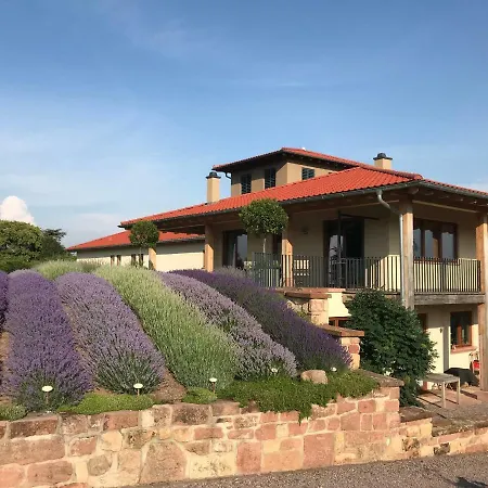 Ferienwohnung Krautergarten Klostermuhle 酒店