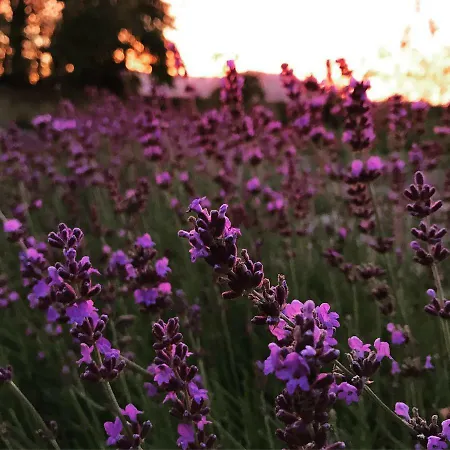 Ferienwohnung Krautergarten Klostermuhle