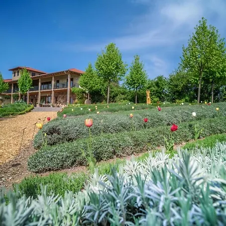Ferienwohnung Krautergarten Klostermuhle Edenkoben