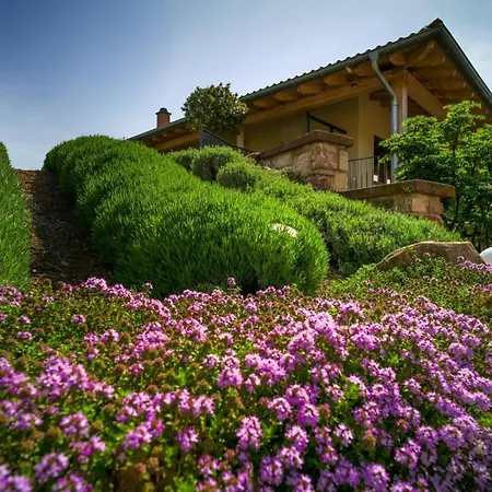 Ferienwohnung Krautergarten Klostermuhle Edenkoben