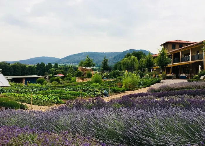 Hotel Ferienwohnung Krautergarten Klostermuhle *